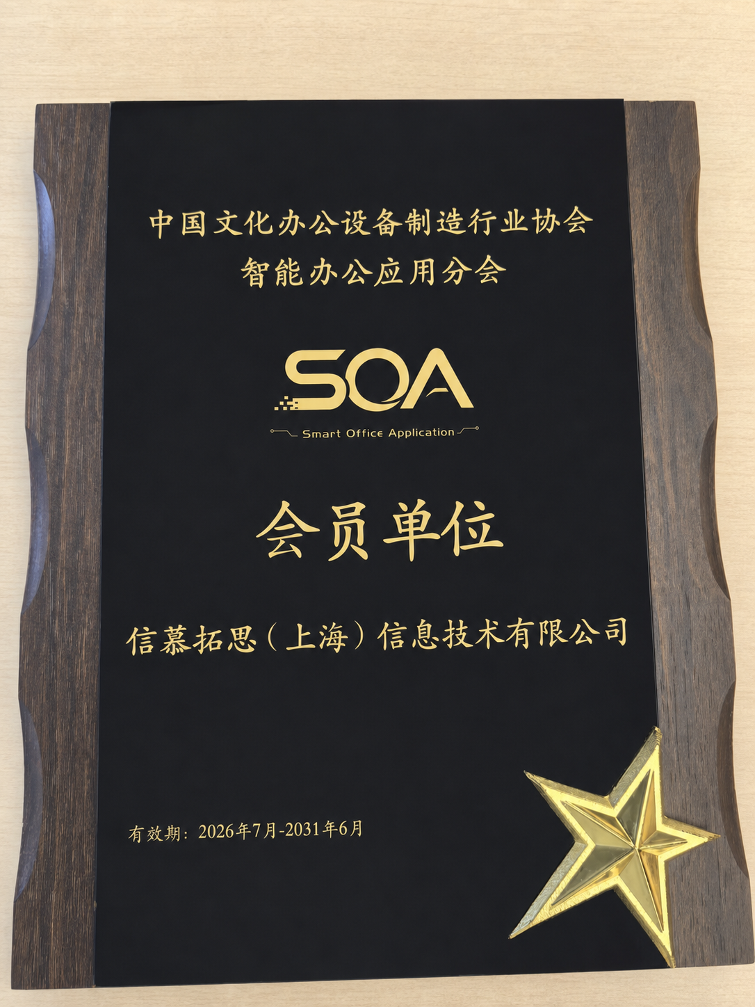 正派奖牌修复图.png 正派奖牌修复图.png